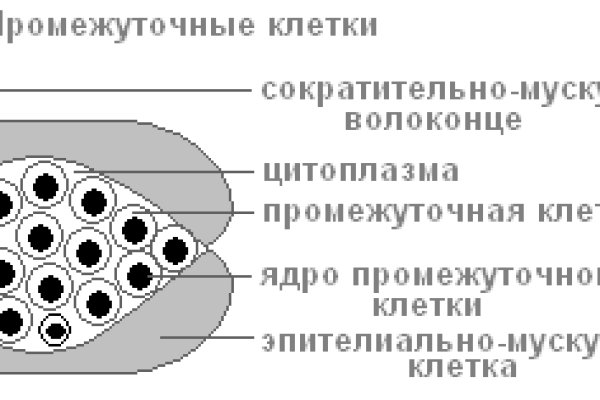 Как войти в даркнет