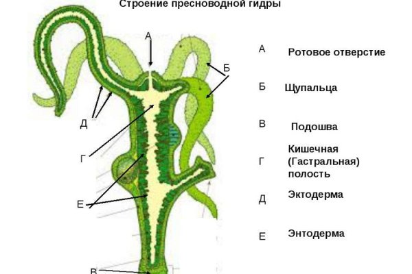 Не заходит на кракен