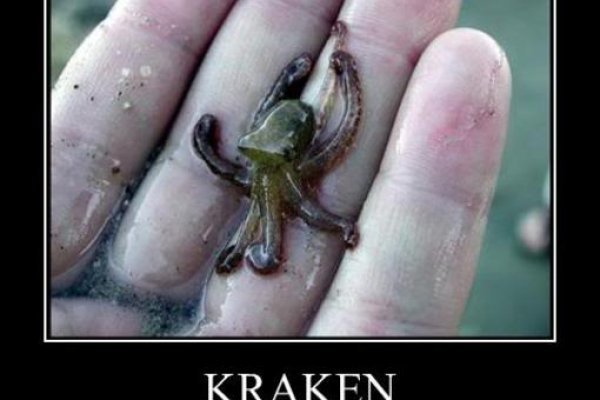 Ссылки зеркала на kraken kraken dark link