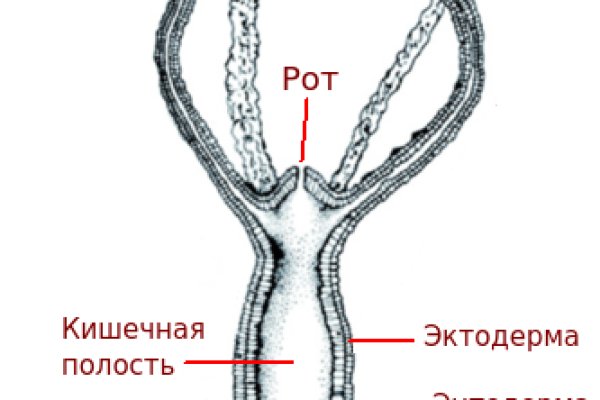 Кракен стор